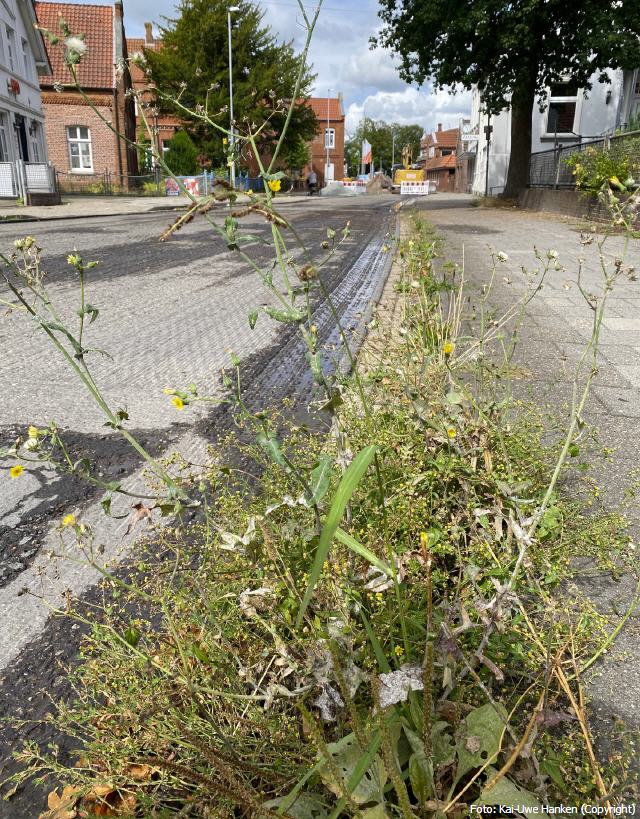 Weg vom Schmuddelimage!